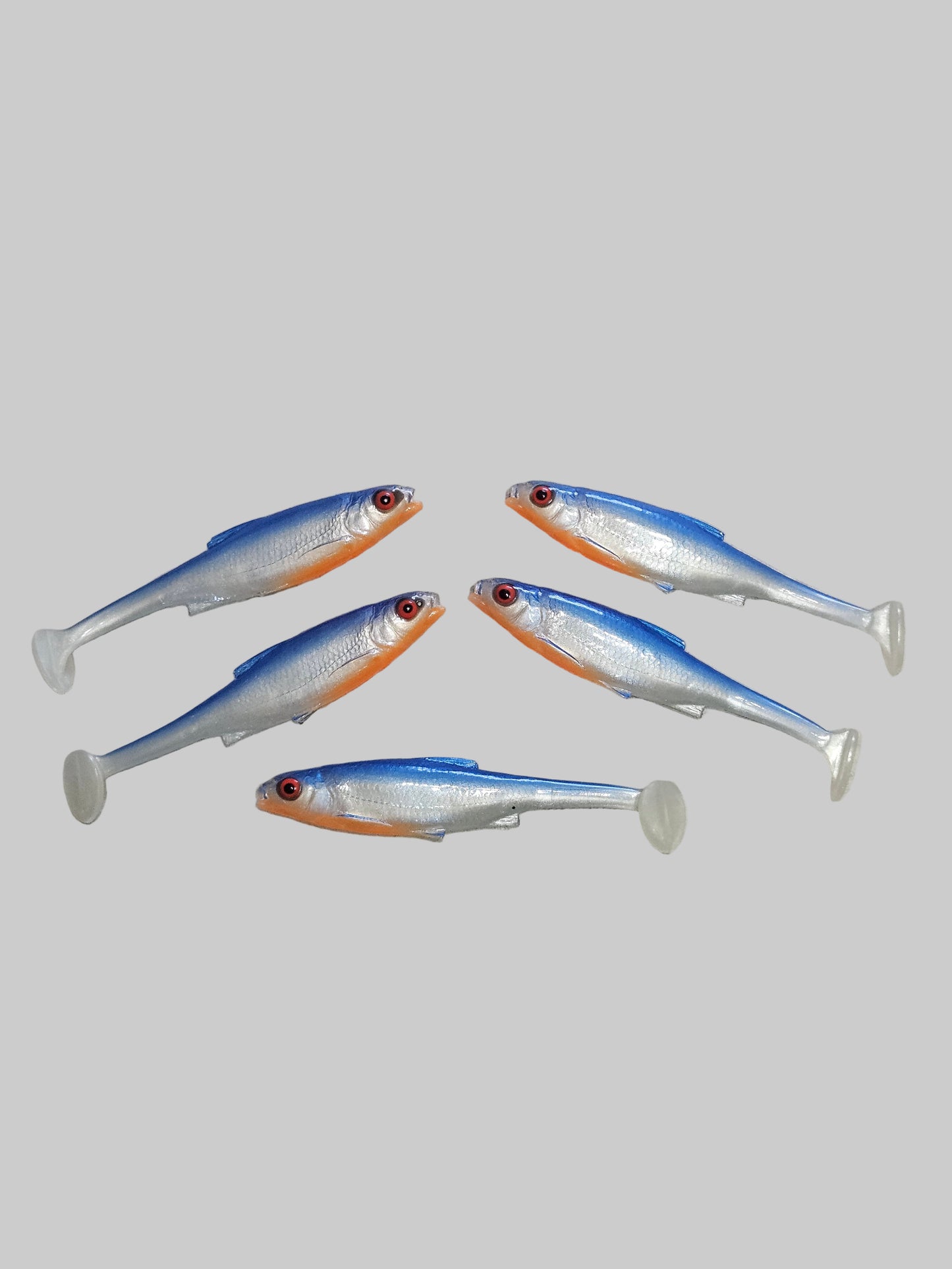 Roach 12cm