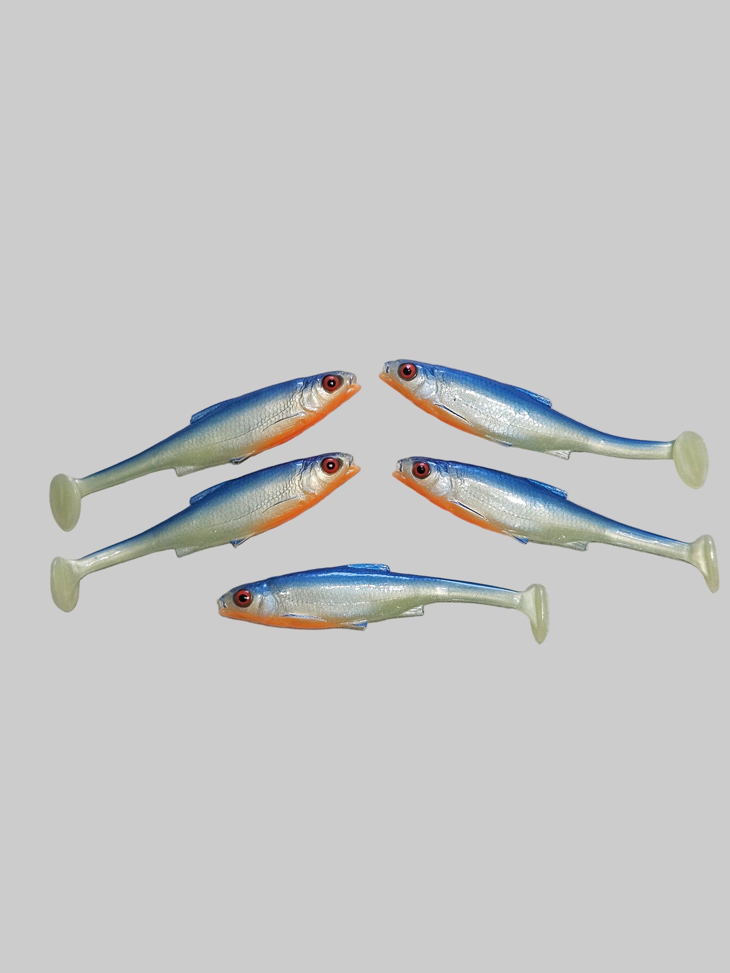Roach 12cm
