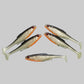 Roach 12cm
