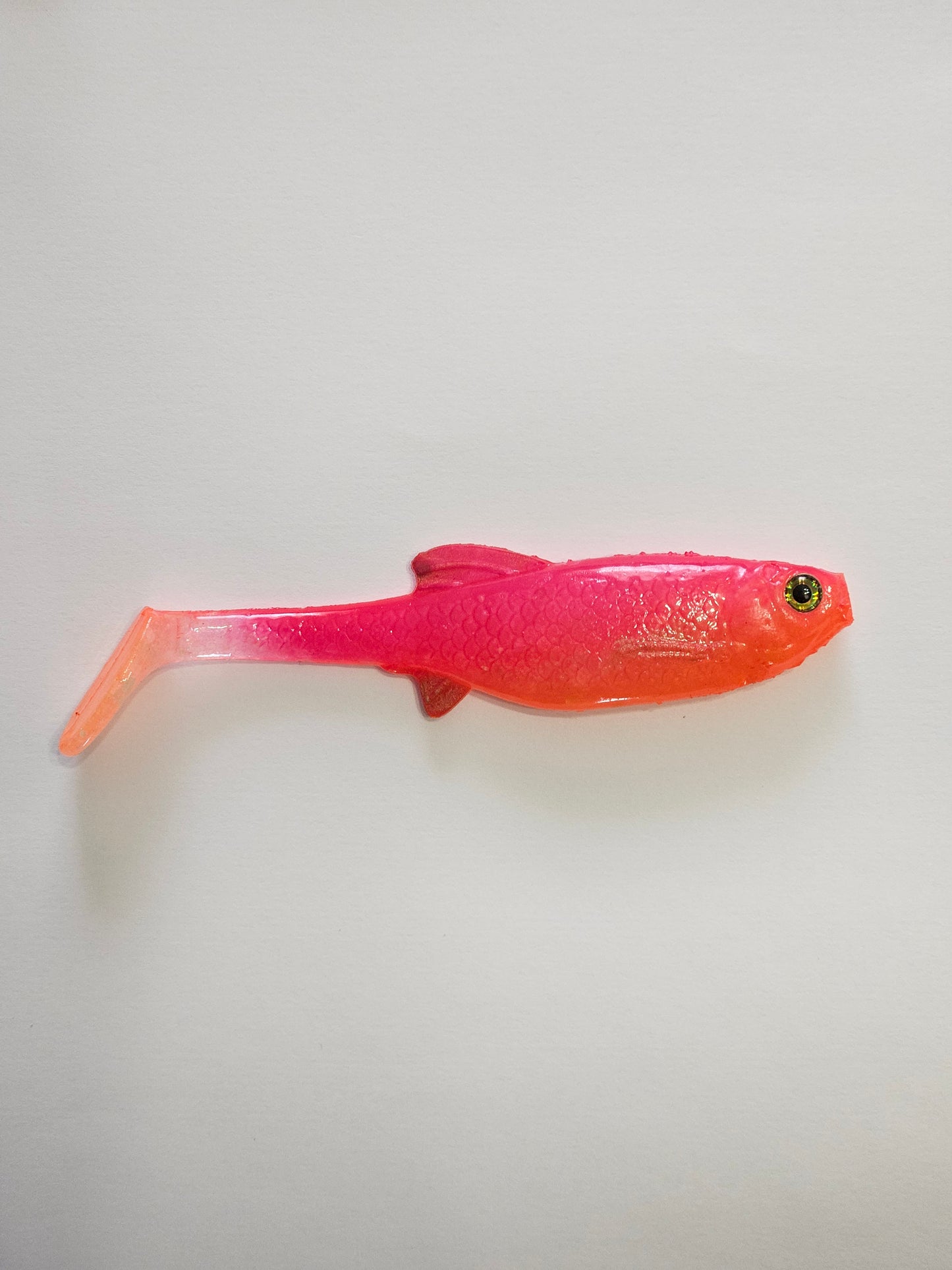 Roach 12cm and Perch 10cm