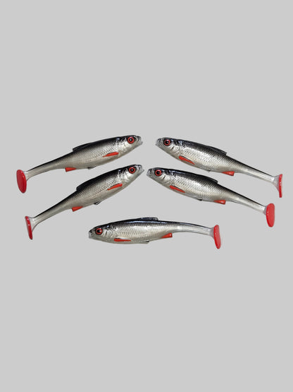 Roach 12cm